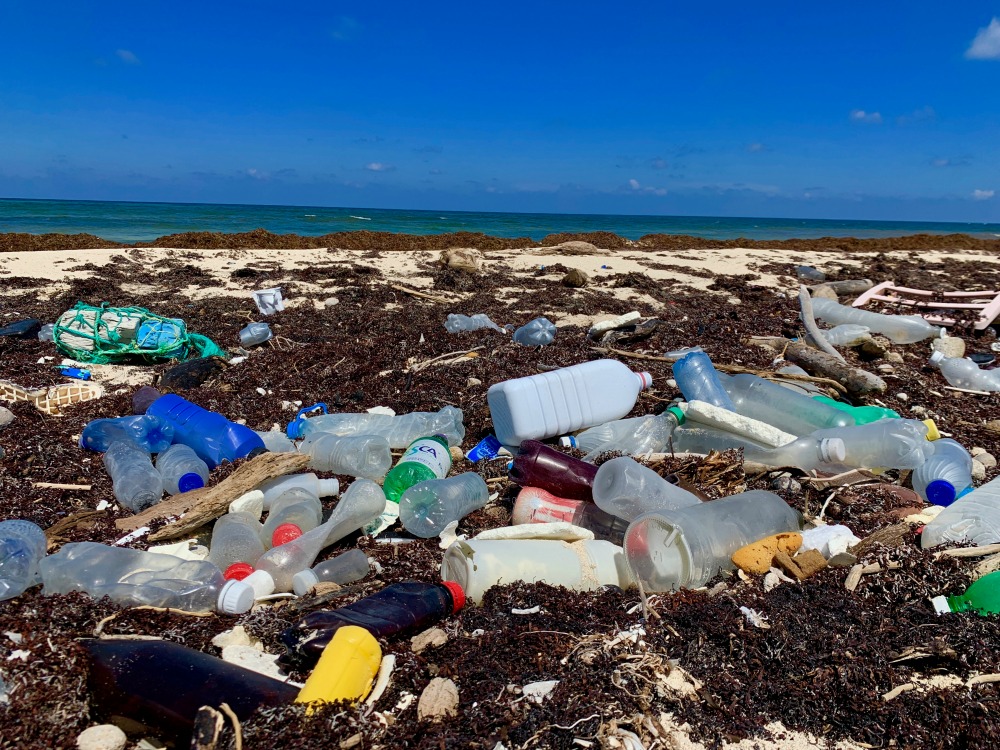 Climate change charities Plastic Oceans CREDIT Plastic Oceans International_picmonkeyed